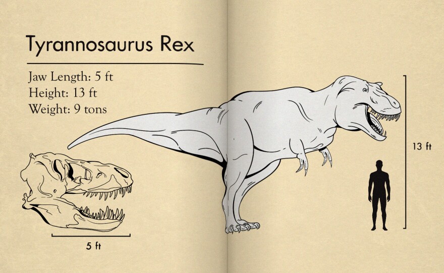 A Tyrannosaurus Rex featured in "Walking with Dinosaurs: A Viewer's Guide"