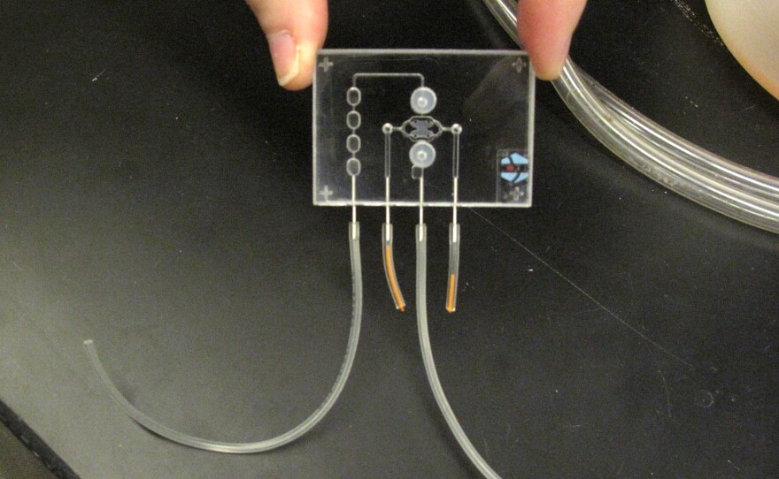 The device that is being developed as a liver-on-a-chip and a kidney-on-a-chip.