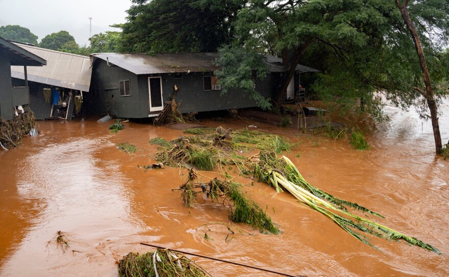 A view of a storm-damaged home near floating felled branches in flood waters caused by severe rains in Waialua, Hawaii, Friday, March 20, 2026.