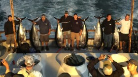 A group of anglers on a Point Loma Sportfishing expedition pose with their bluefin tuna catches, weighing 100 to 200 pounds each, July 29, 2015.