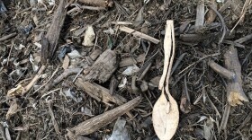 A spoon is pictured on a pile of wood shavings. 