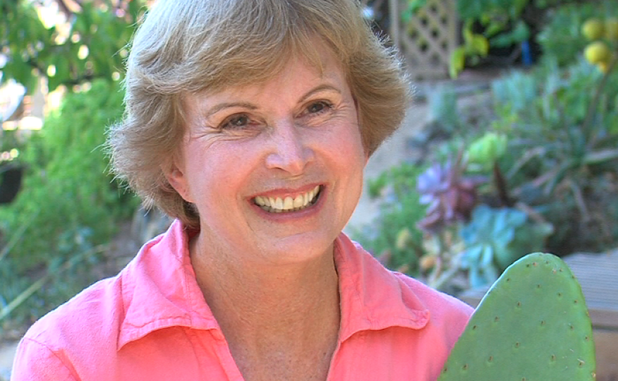 Author Debra Lee Baldwin speaks as she sits in front of her "caress-able cactus," Aug. 18, 2015.