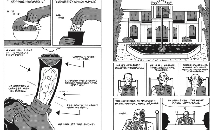 A page from <em>Cannabis</em>, by Box Brown.
