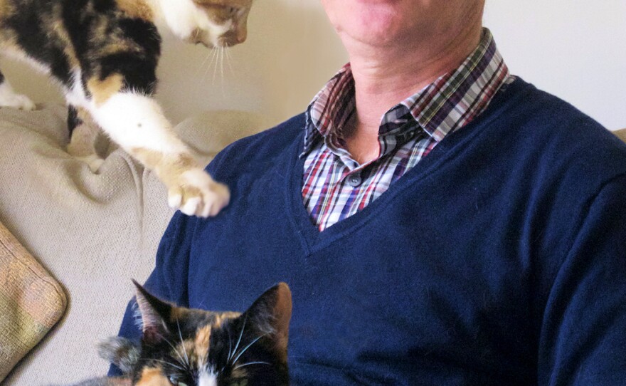 John Bradshaw's other books include <em>Dog Sense </em>and <em>In Defense of Dogs.</em>