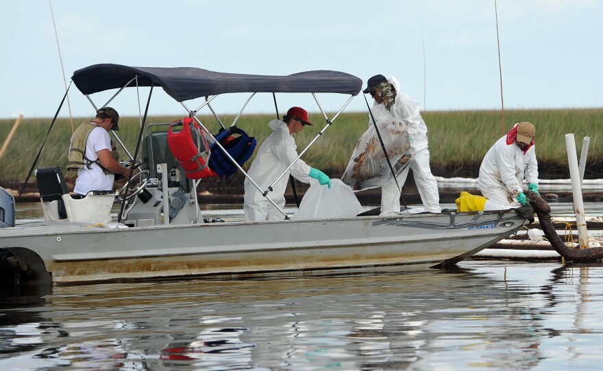 Workers continue cleanup of oil in Barataria Bay June 19, 2010 near Grand Isle, Louisiana. The BP oil spill has been called one of the largest environmental disasters in American history. 
