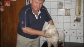 Unlikely Ally: Veterinarian Leith Jacob Sabah with his groggy patient.