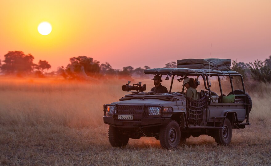 Wildlife cinematographer Greg Hartman prepares to film the lions into the night.