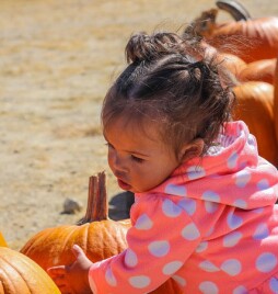 Mission Valley Pumpkin Station