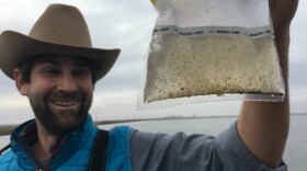 Jacob Katz, with California Trout, says growing bugs in rice fields could be part of the solution for boosting salmon populations in rivers statewide.