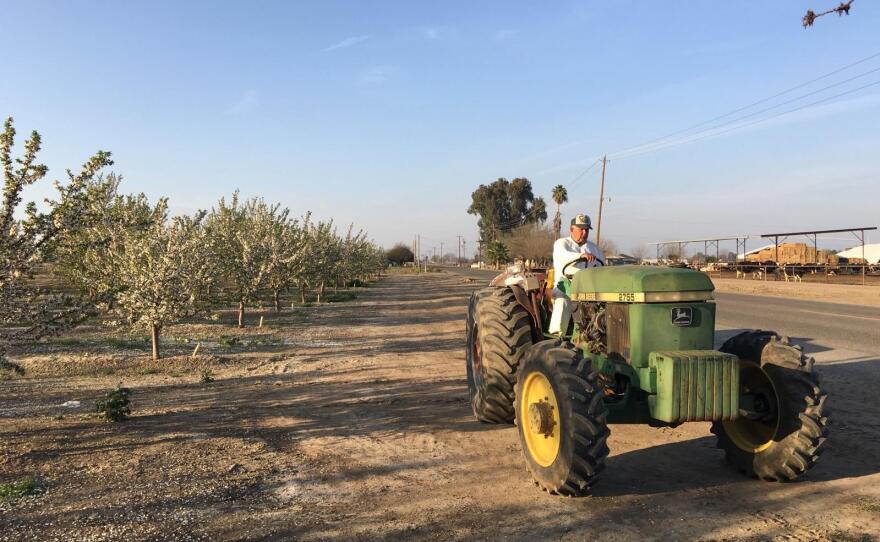 Ben Barra farms 18 acres of Independence almonds southwest of Fresno, Calif. He says this will be his last foray into farming.