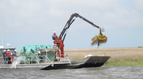 Cleanup crews in the marshlands in Louisiana are using a long-armed machine with a rake on the end to help restore areas that were inundated with oil from the BP spill last April.
