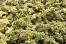 A pile of dried cannabis buds is seen here, Aug. 31, 2017.