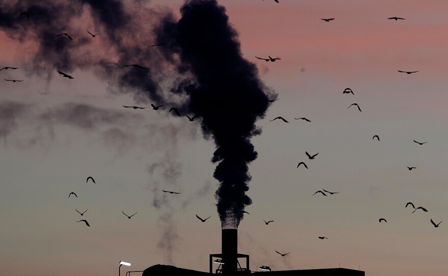 In this Dec. 4, 2018, file photo, birds fly past a smoking chimney in Ludwigshafen, Germany. Development that’s led to loss of habitat, climate change, overfishing, pollution and invasive species is causing a biodiversity crisis, scientists say in a new United Nations science report released Monday, May 6, 2019.