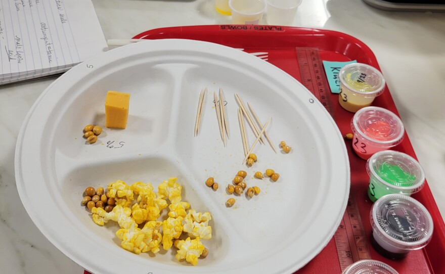 Cheese tasters are given microwave buttered popcorn, a flavor color wheel and sample cups to determine the cheese's butteriness and texture.