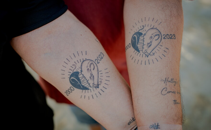 Meir and Kati Zohar display matching memorial tattoos featuring the birth year and zodiac sign of their daughter, Bar Zohar.