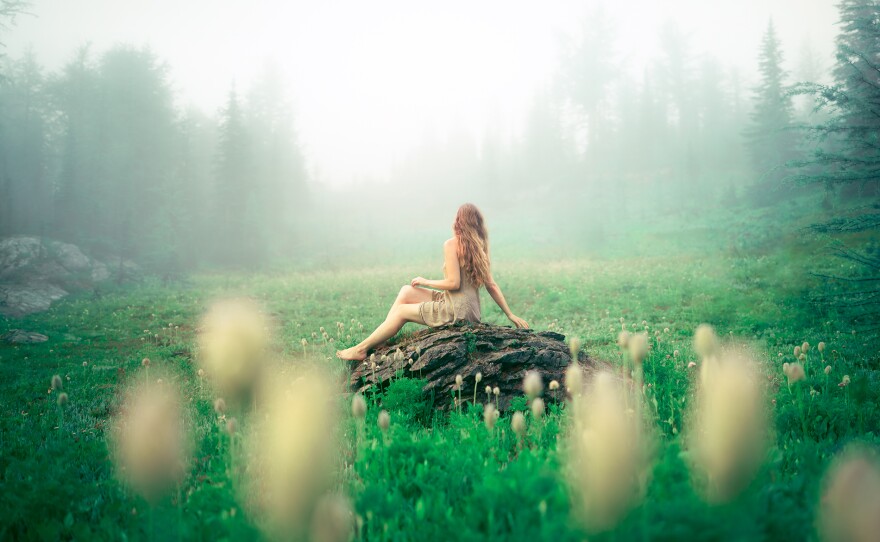 تيم جانيس: عالمنا الطبيعي – العودة إلى الأرض