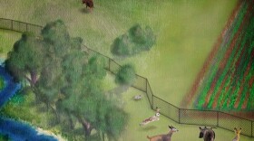 A clampdown on contamination in growing fields has pushed out wildlife and destroyed habitats.