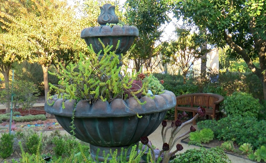 A former fountain that's found new life as a planter is shown in the garden on November 19, 2024.