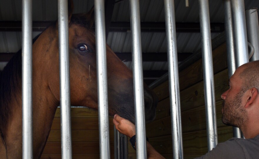 A rescued horse is cared for at a staging area in Lumberton.