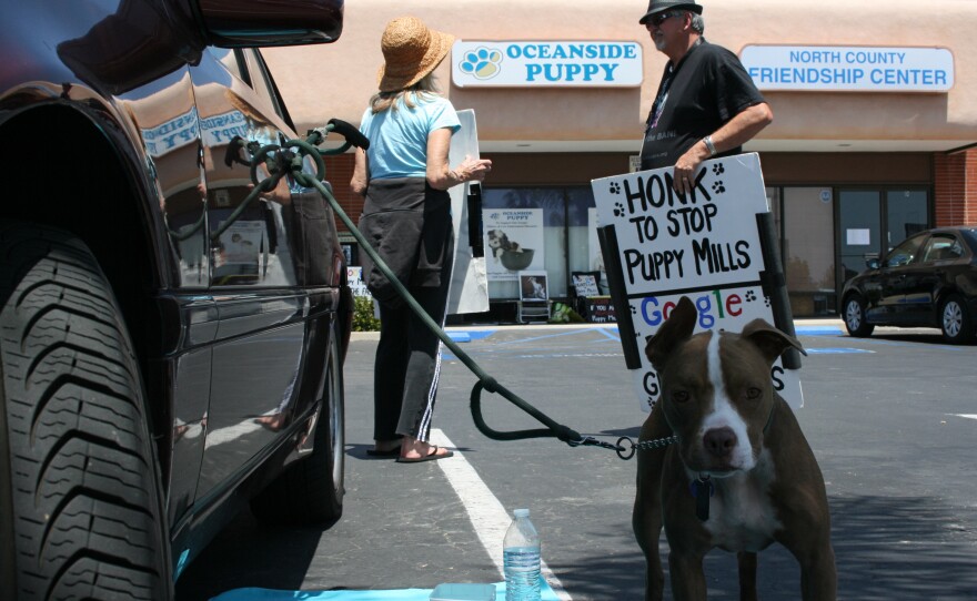 Animal rights supporters have held weekly rallies outside Oceanside Puppy since the store opened over a year ago.