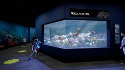 Rendering of the new Living Seas Tropical Coral habitat.