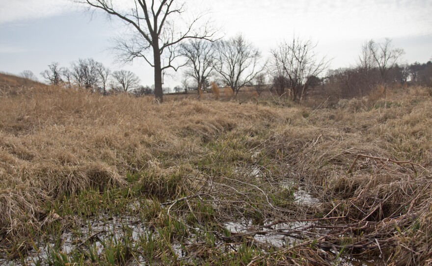 Massey Run, an intermittent stream that runs into Crum Creek in Pennsylvania's Montgomery County, is impacted by the Waters of the United States rule.