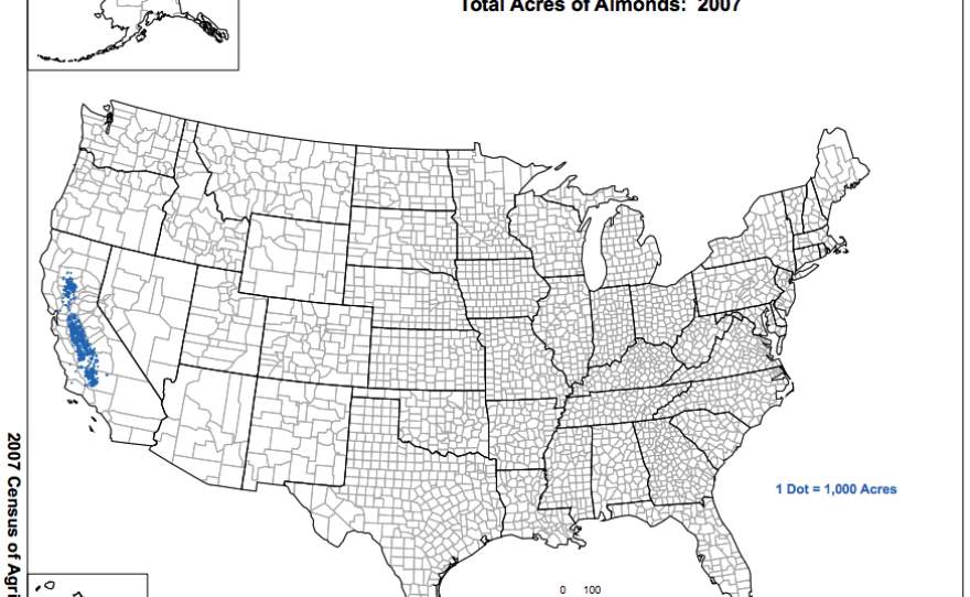 Indicated in blue, this 2007 map shows almond production in the U.S., which is centered in California.