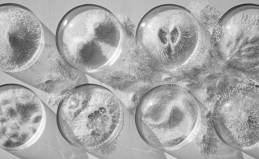 Outbreak, which is approximately 58 inches long by 31 inches tall, was exhibited in London in 2014.