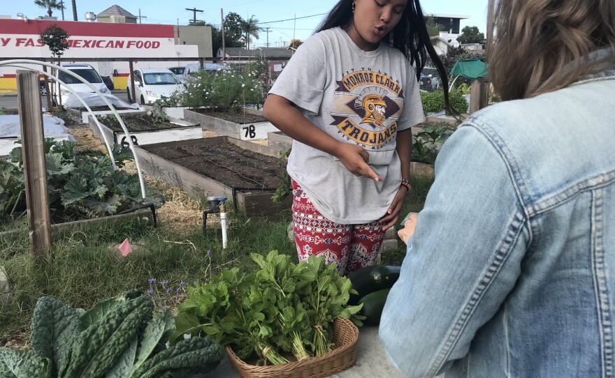 16-year-old Mu Hsu working in the IRC's Youth FarmWorks & Cafe Program garden.