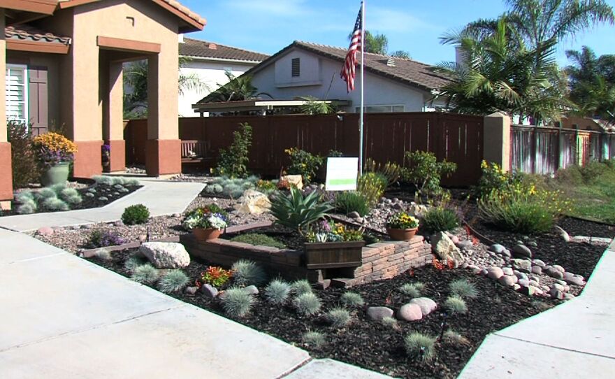 The new drought friendly lawn at the home of Troy Ray in Chula Vista.