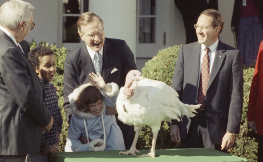 President George Bush and Shannon Duffy, 8, of Fairfax, Va., look over a Thanksgiving turkey presented to the president at the White House in Washington by the National Turkey Foundation, on Nov. 18, 1989.