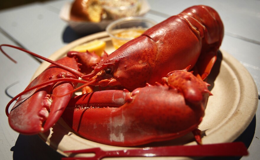 Recent years have ushered in efforts to develop alternate forms of gear and methods of lobster fishing to protect the dwindling right whale population.