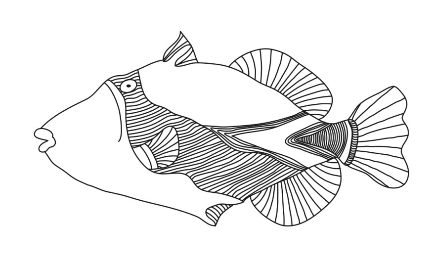 The very fish itself: the <em>humuhumunukunukuāpua'a</em> that Yoon's husband, David Yoon, drew for her in the wee hours.