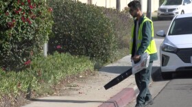 A landscaper uses an electric leaf blower in Coronado, Oct. 18, 2019.