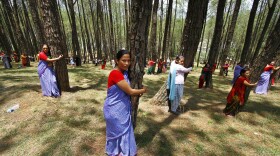 Nepalese people hug trees during a mass tree hugging on World Environment Day in Katmandu, Nepal, Sunday, June 5, 2011.