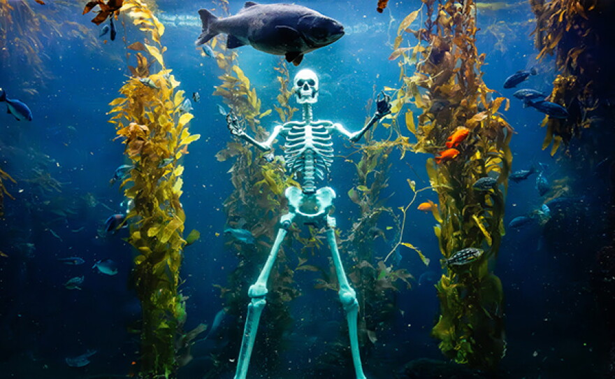 Oceans at Night: Halloween
