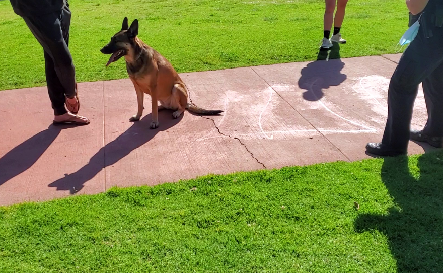 A San Diego park patrol officer writes up a ticket for an off leash dog.