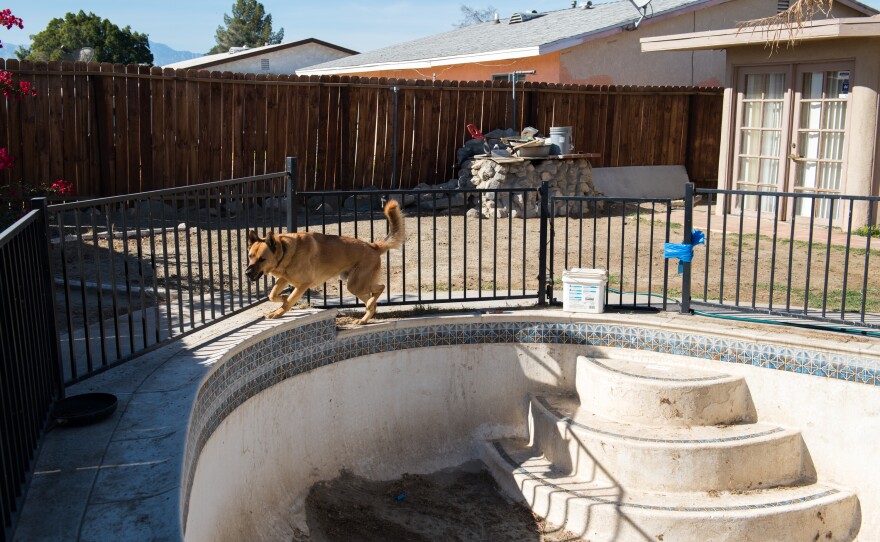 Morales finally got the tenants to get rid of all of the chickens and went to city court to clear it all up. But there she was baffled to find out she was being criminally prosecuted for her tenant's annoying chickens.