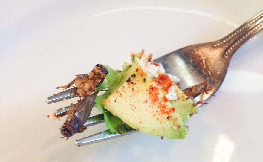 Chef Jesse Griffiths' Texas avocado and cricket salad at Dai Due restaurant in Austin, Texas.