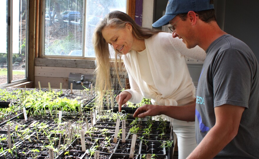 Suzy Amis Cameron, wife of director James Cameron, and gardener and educator Paul Hudak Inspect seedlings inside the MUSE School greenhouse in Calabasas, Calif. Cameron, who founded the school with her sister, wants the school's food to be entirely plant-based by fall 2015.