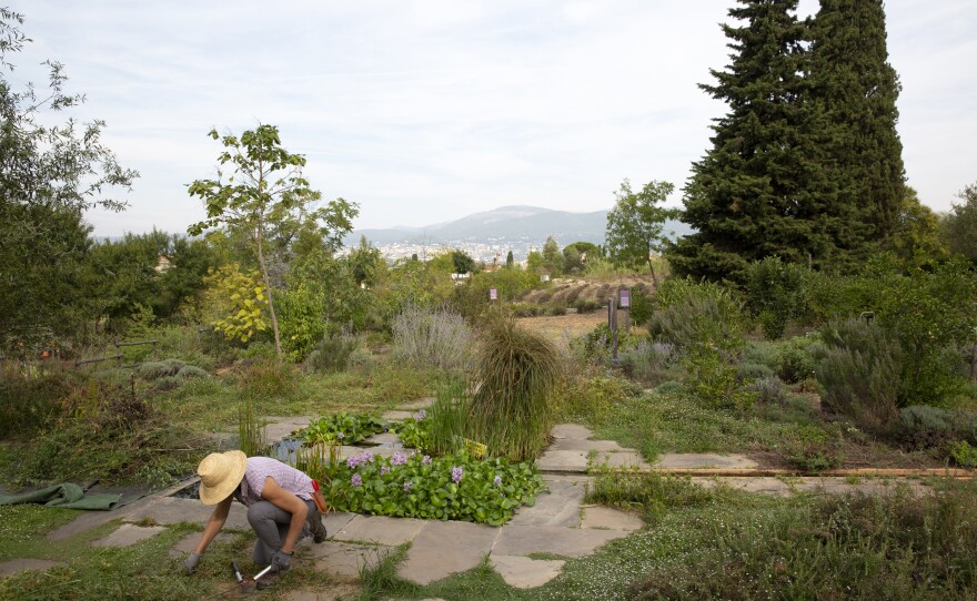 General view of the International Perfume Museum's gardens in Grasse. "The same rose or the same jasmine grown in Egypt or Morocco, it will be different from the rose grown in Grasse," head gardener Christophe Meze says. "It's like wine, you can have the same type of grape, but you won't have the same wine because of the sun, because of the soil, because of the <em>terroir</em>."