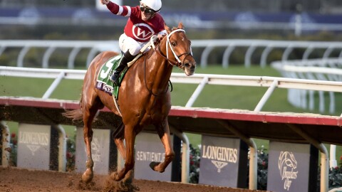 Florent Geroux rides Gun Runner to victory in the Classic horse race during the Breeders' Cup, Saturday, Nov. 4, 2017, in Del Mar, Calif. 

