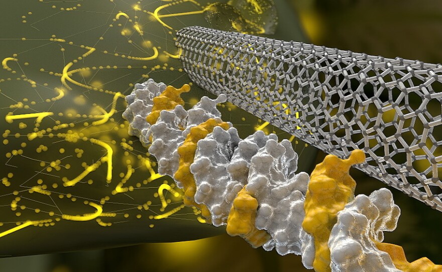 An artist's rendering shows a needle-like carbon nanotube delivering DNA through the wall of a plant cell. It also may be possible to use this method inject a gene editing tool called CRISPR to alter a plant's characteristics for breeding.