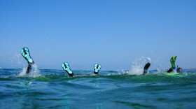 Shark Snorkels