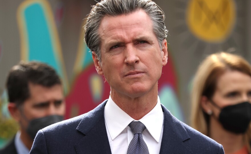 Gov. Gavin Newsom has called for a gun law in California that would allow private citizens to sue anyone who manufactures, distributes, transports, imports into the state or sells assault weapons or so-called ghost guns.