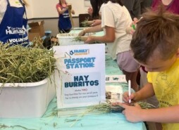 Family Volunteer Day at San Diego Humane Society