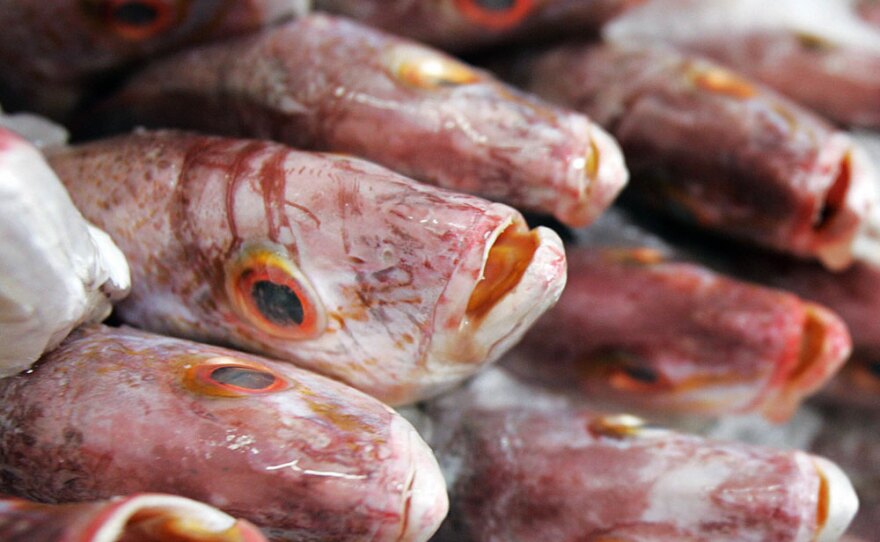 Daniel Pauly warns that overfishing and the pollution of the oceans could force seafood off of our plates.