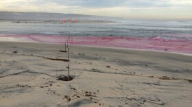 Pink dye floating along the shoreline near Imperial Beach. 