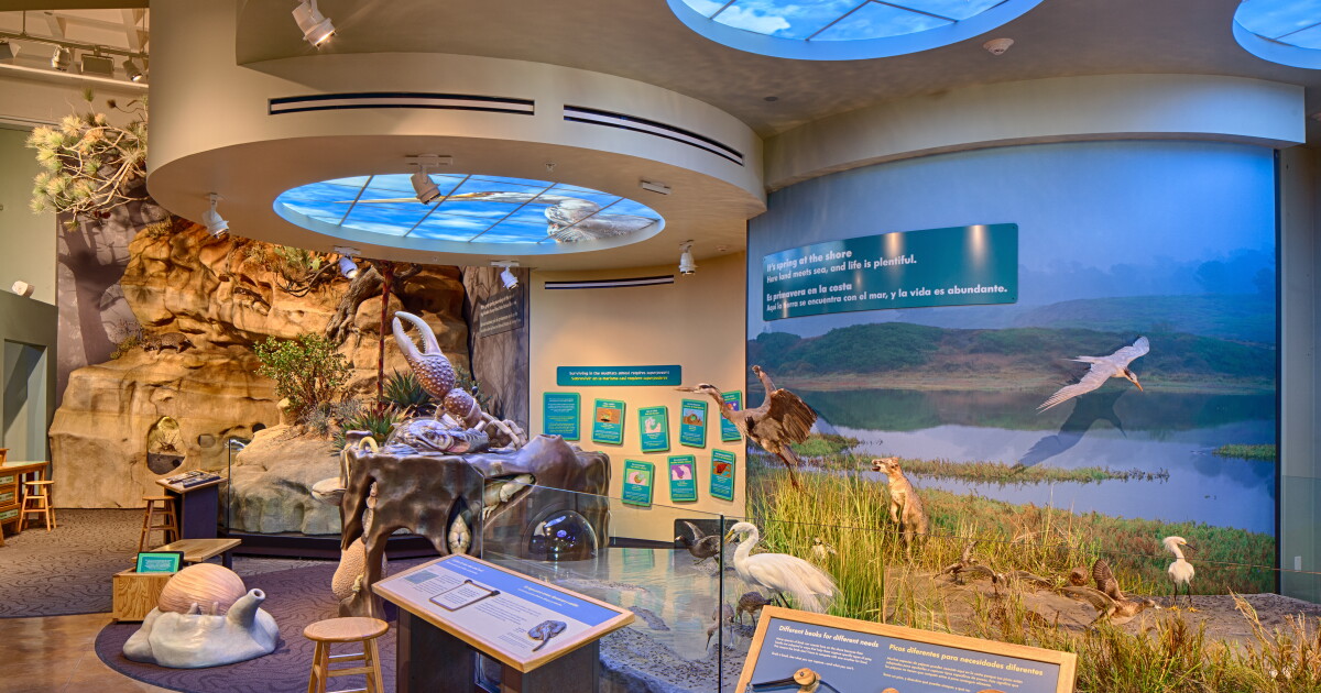 San Diego Natural History Museum Hosts 'Coast to Cactus' Exhibit | KPBS  Public Media