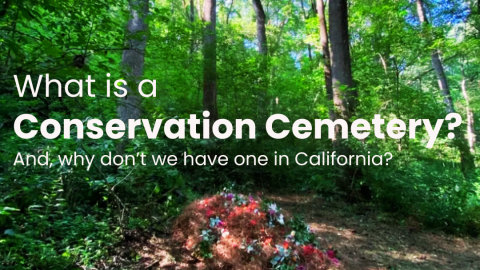Why California Needs a Conservation Cemetery